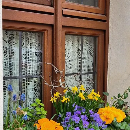 Homestay Altstadtdomizil Morgenroete *