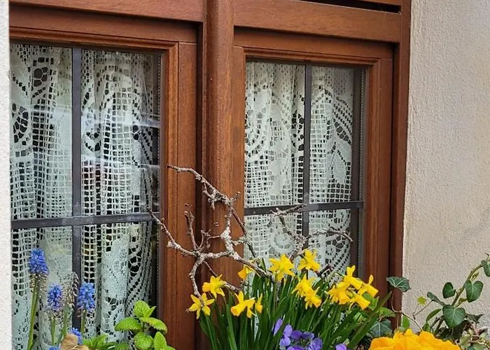 Проживание в семье Altstadtdomizil Morgenroete *