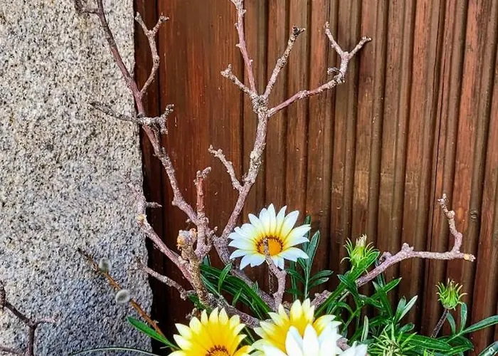 Проживание в семье Altstadtdomizil Morgenroete